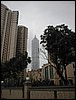 PC060024.JPG